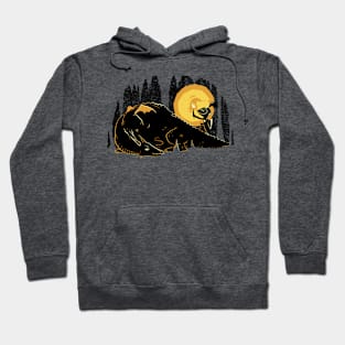 DRAGON'S CAVE Hoodie